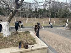 图片15